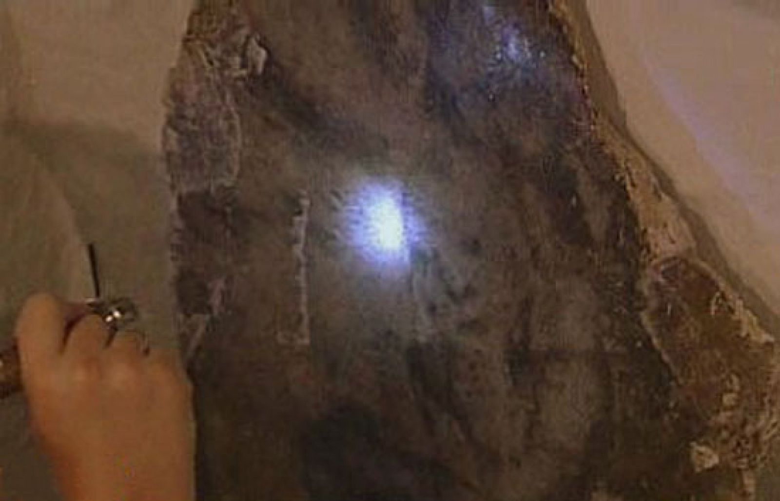 España Directo - El Museo de las Caras | Ver