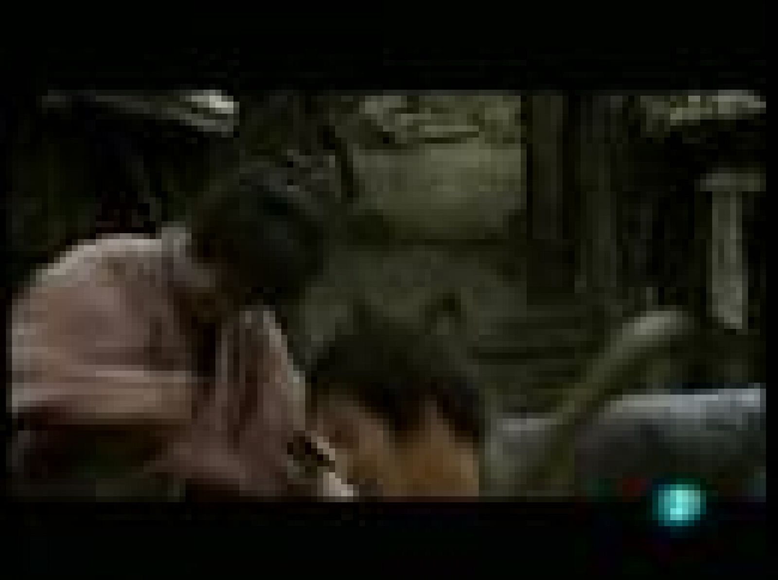 Días de cine - Hirikazu Kore-eda estrena 'Air doll' | Ver