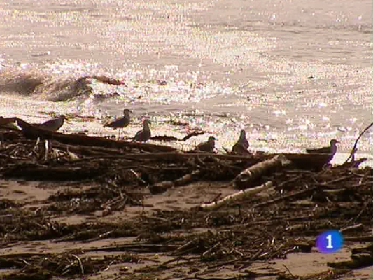 Panorama Regional - Panorama regional - 21/06/10