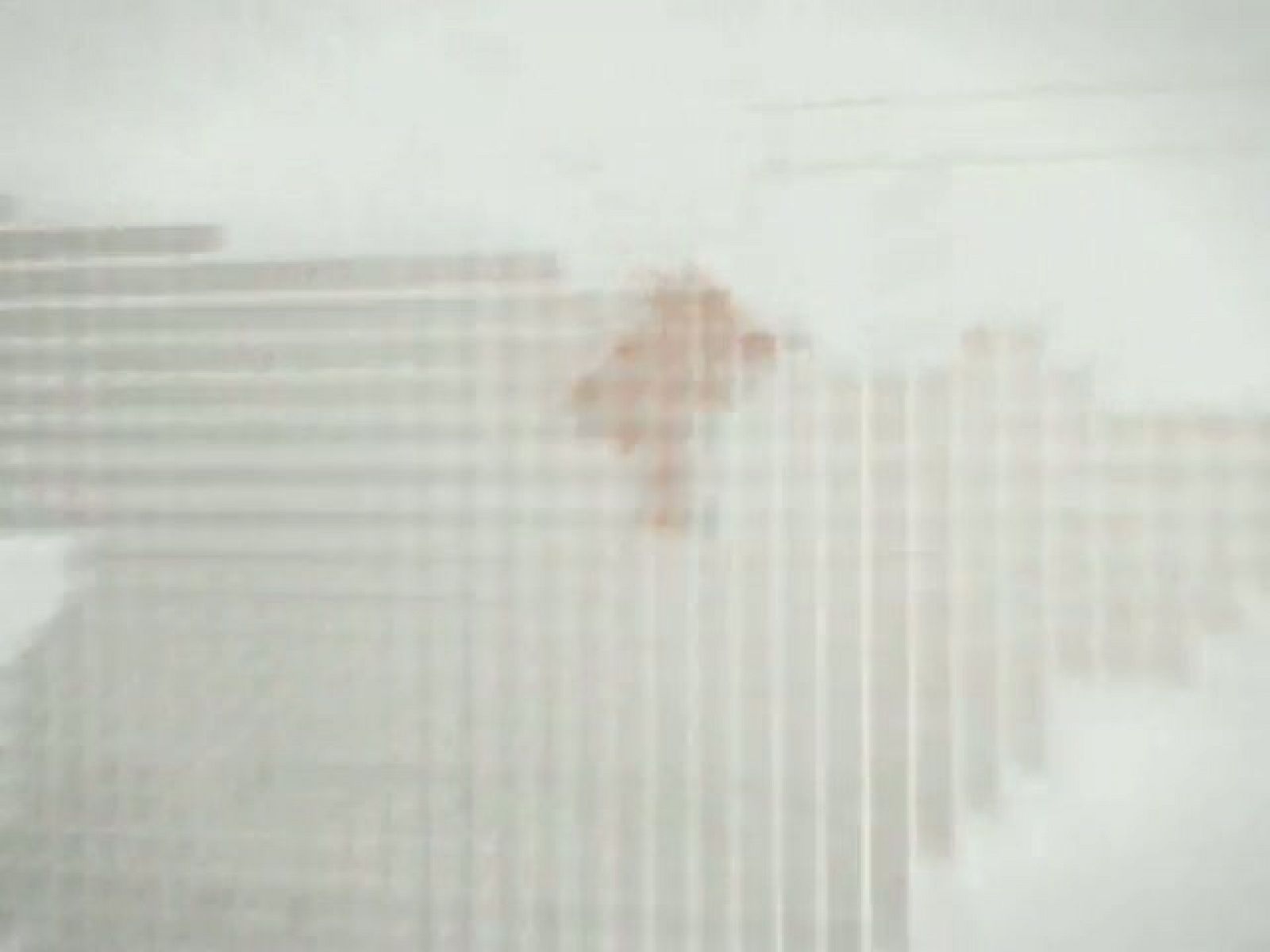 Telenavarra. Informativo territorial de Navarra. (21-6-2010)