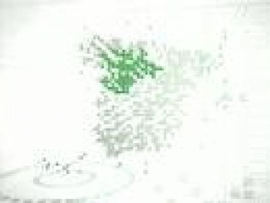 Noticias de Castilla y León - Noticias de Castilla y León - 23/06/10