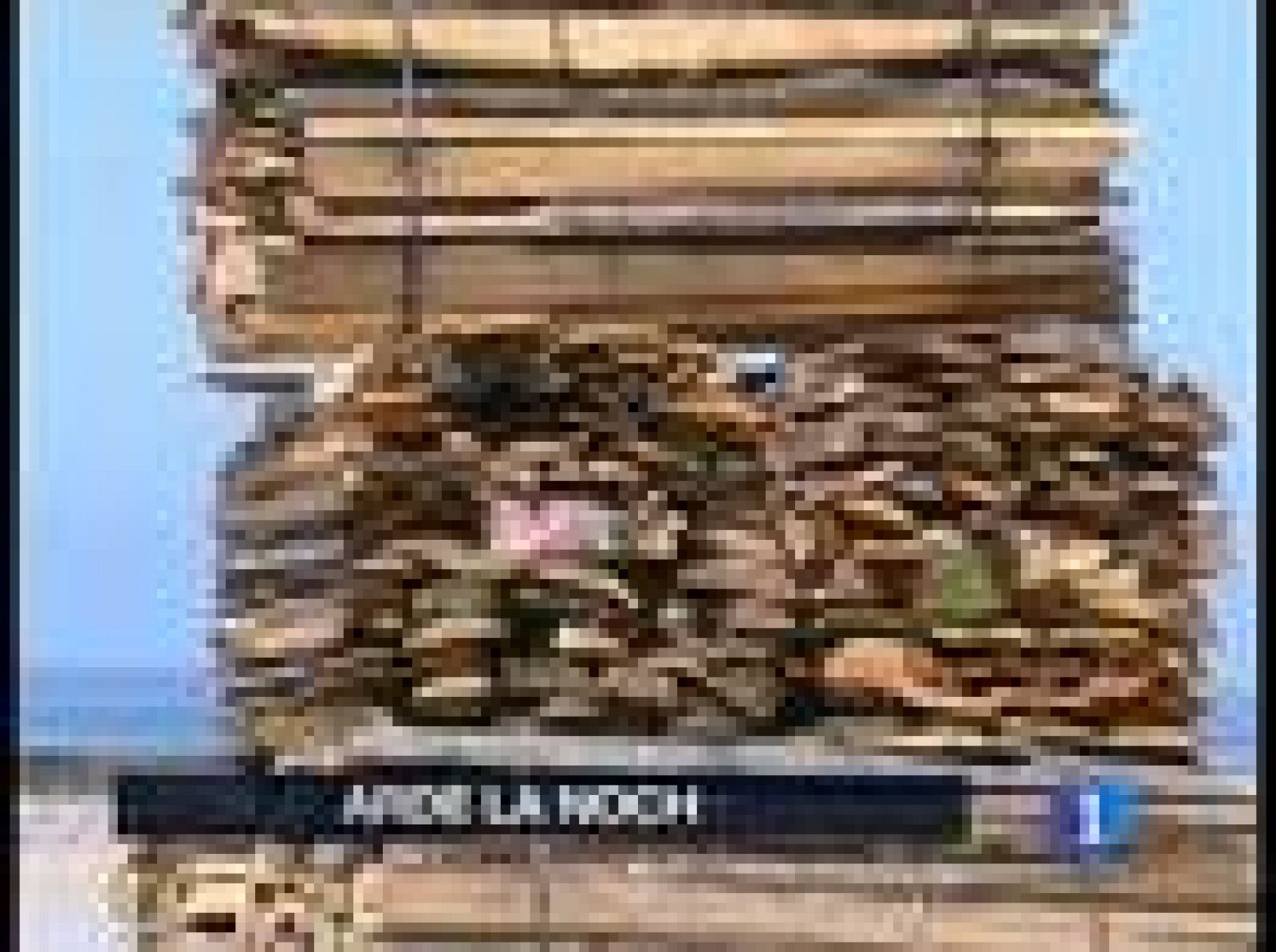 Telediario 2 en cuatro minutos - 23/06/10 | Ver