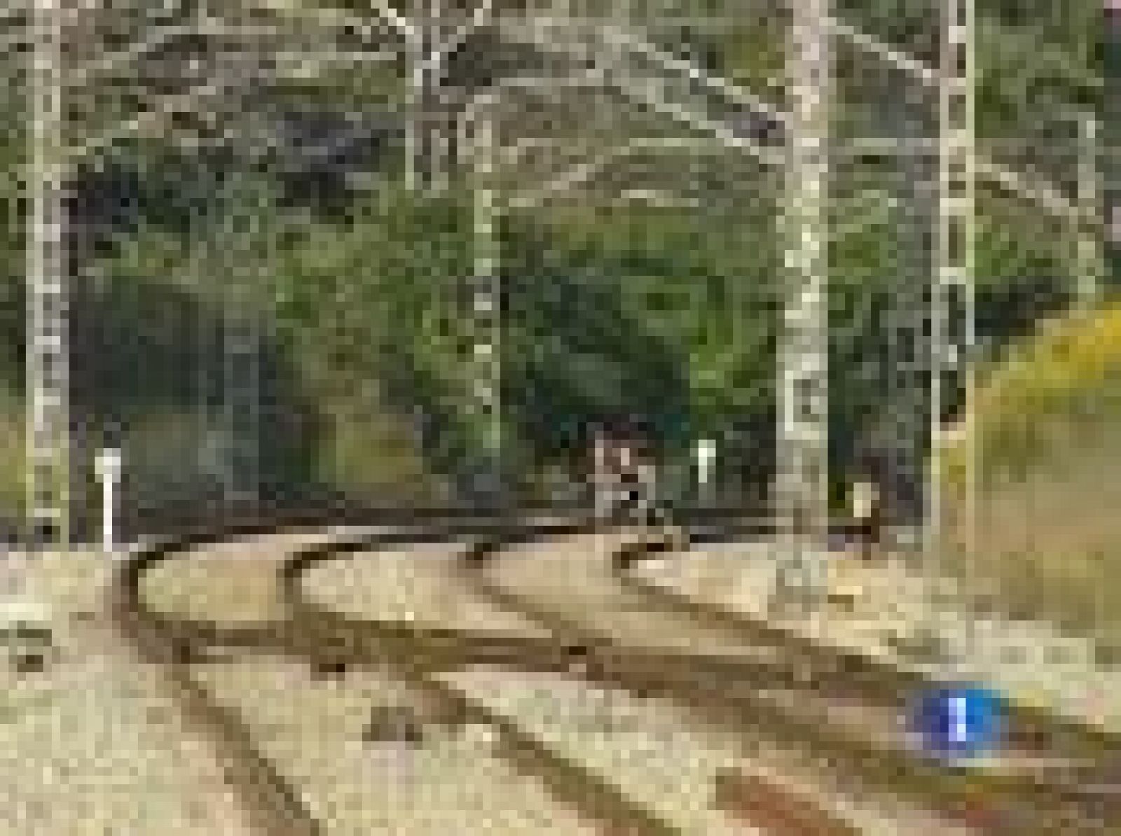 Muchas personas cruzan imprudentemente las vías del tren | Ver