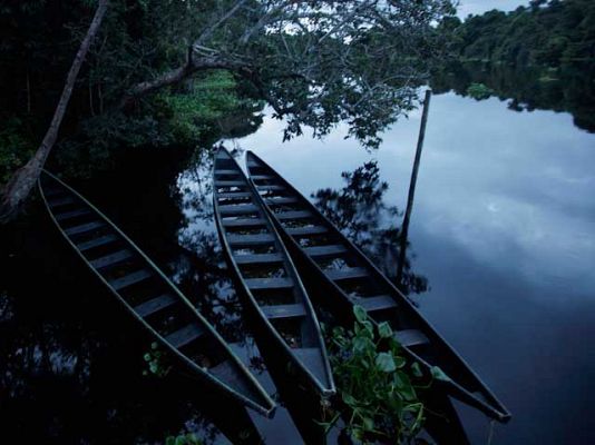 Ingeniería de los indios Yanomamos