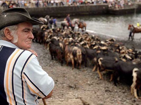 Ciencia y tecnología en Rtve.es - La purificación del ganado