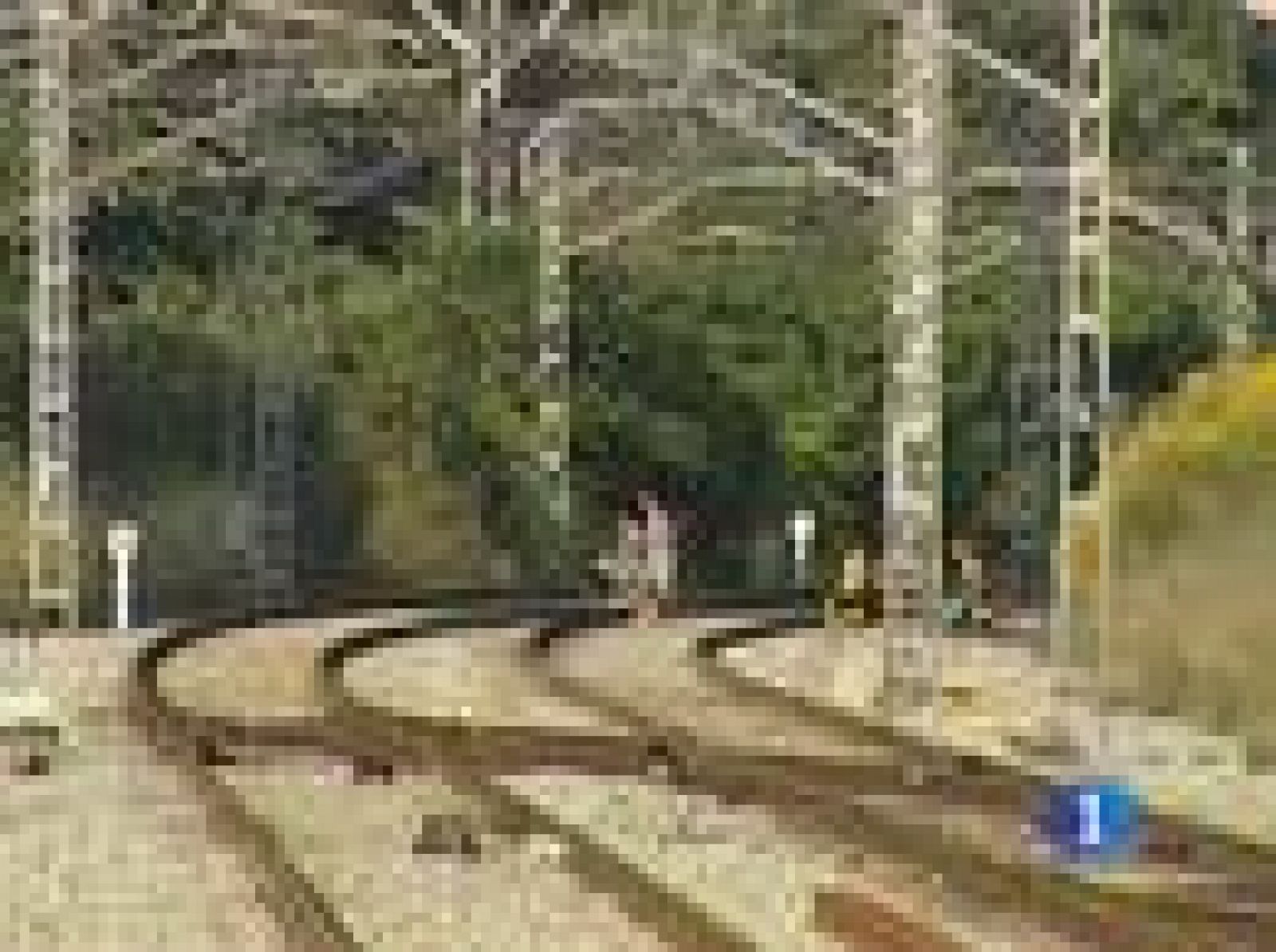 Nueve de los 13 fallecidos en Castelldefels han sido ya identificados | Ver