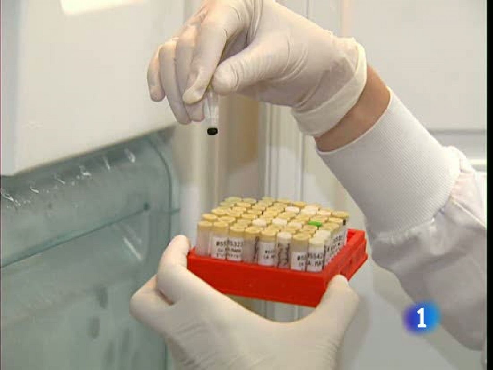 Hace ahora 10 años se consiguió obtener el primer borrador del genoma humano - Ciencia y tecnología en Rtve.es | Ver