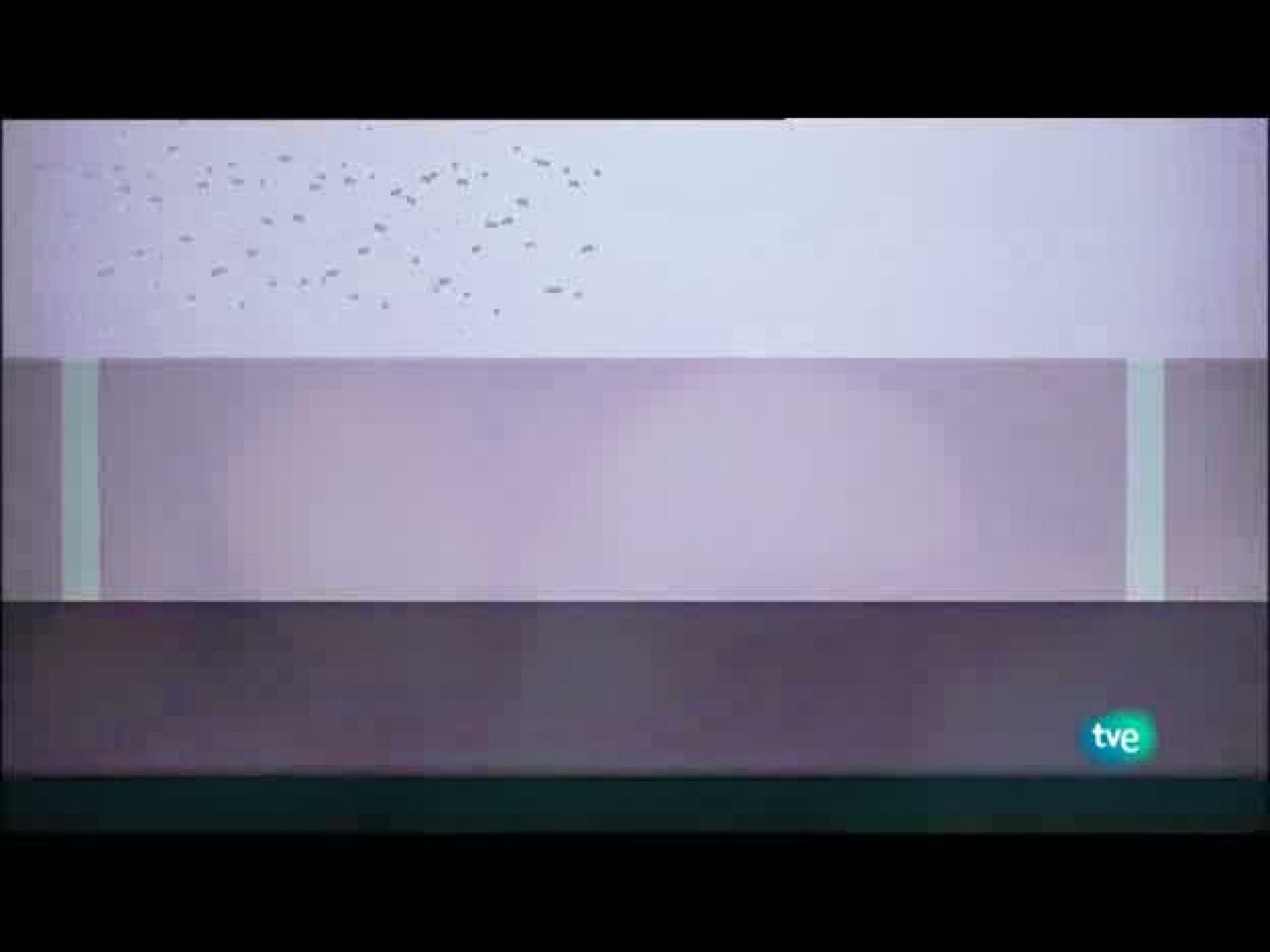 Jovenes solistas - 26/06/10 - Ver ahora