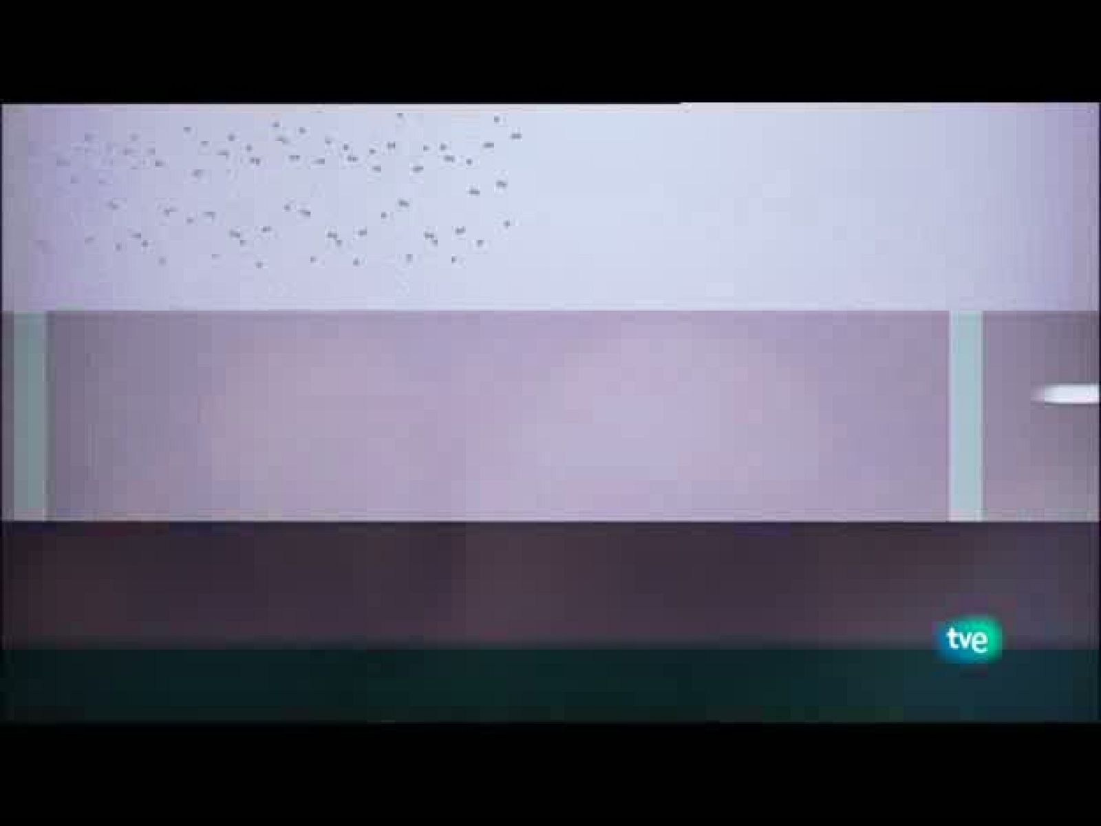 Jóvenes solistas - 27/06/10 - Jóvenes solistas | Ver