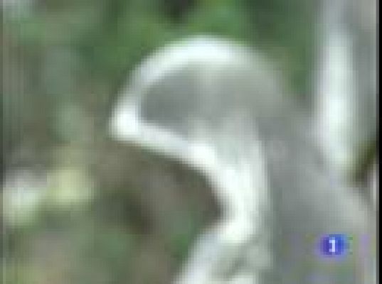  - Cementerios con visitas turísticas