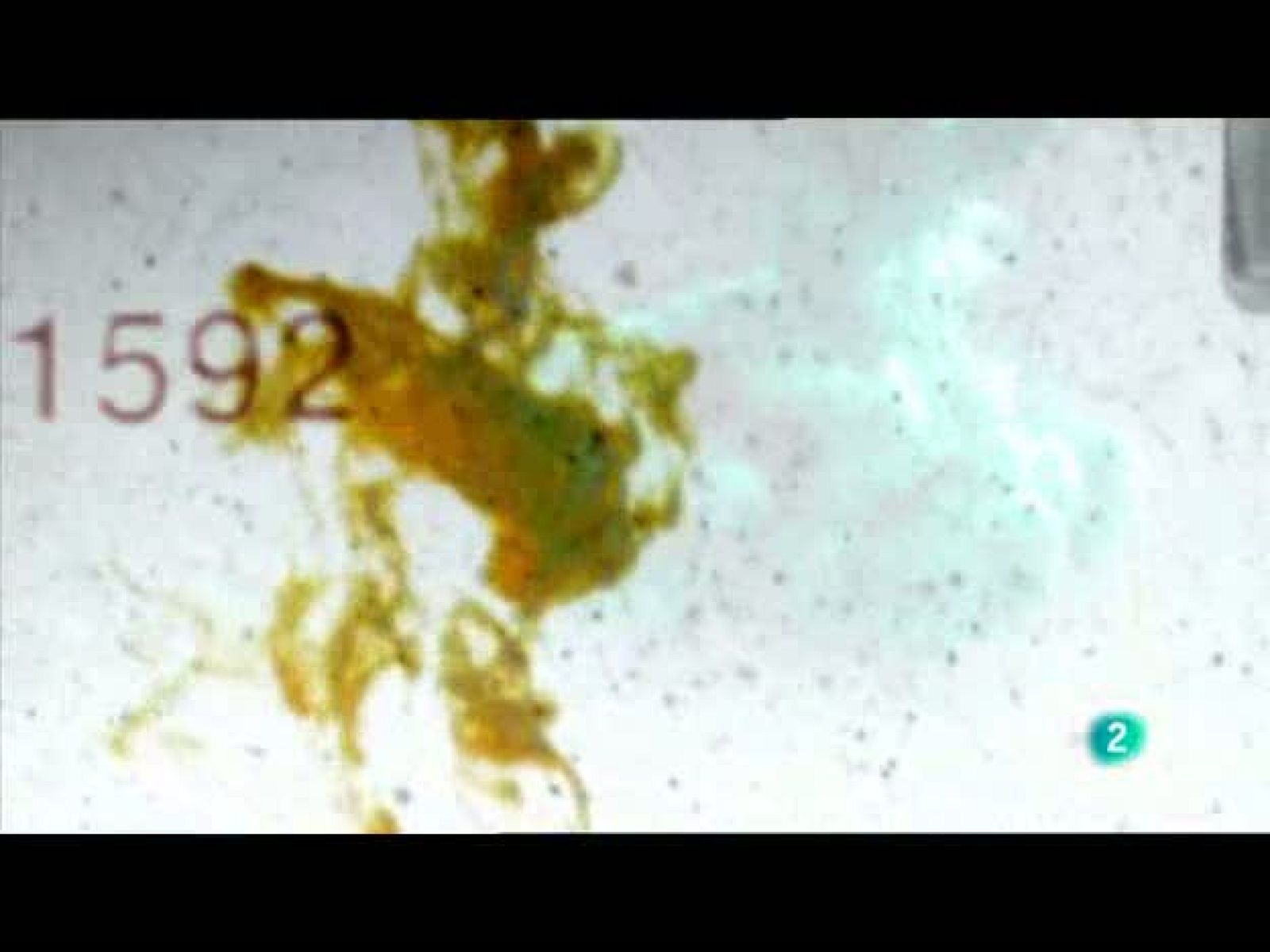 tres14 - viajar (20/06//2010)