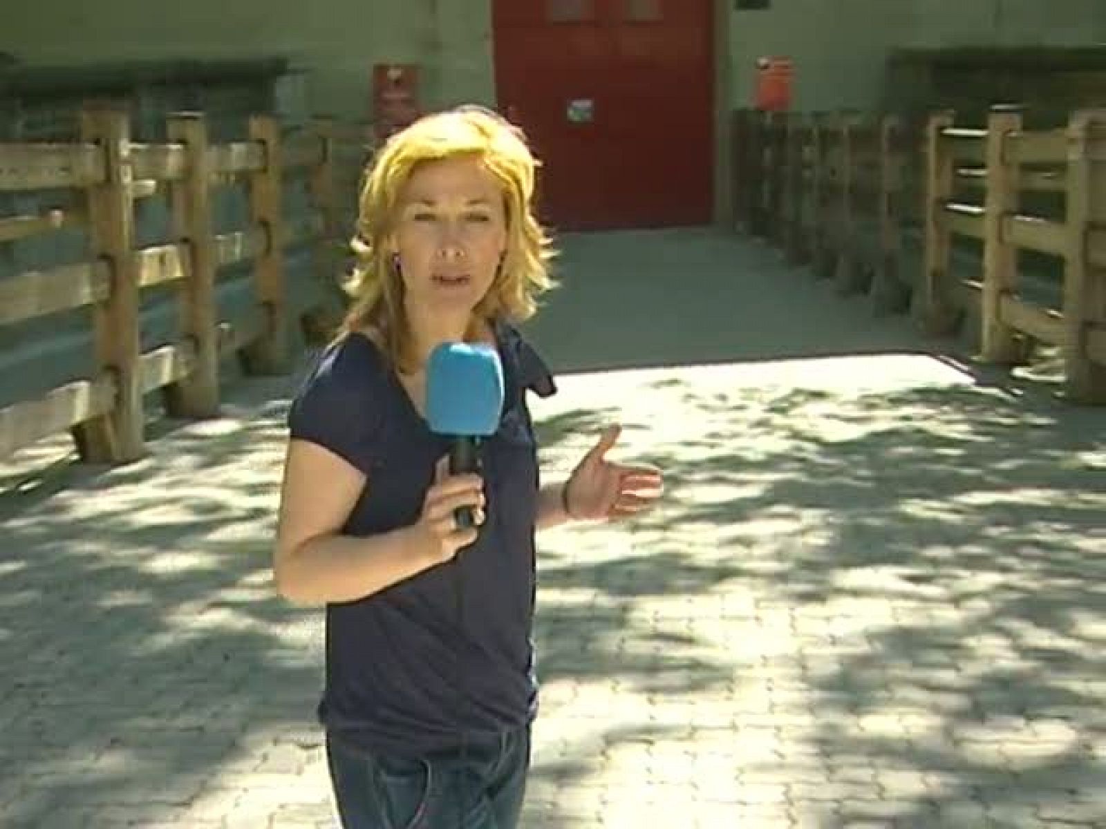 Telenavarra: Telenavarra - 25/06/10 | RTVE Play