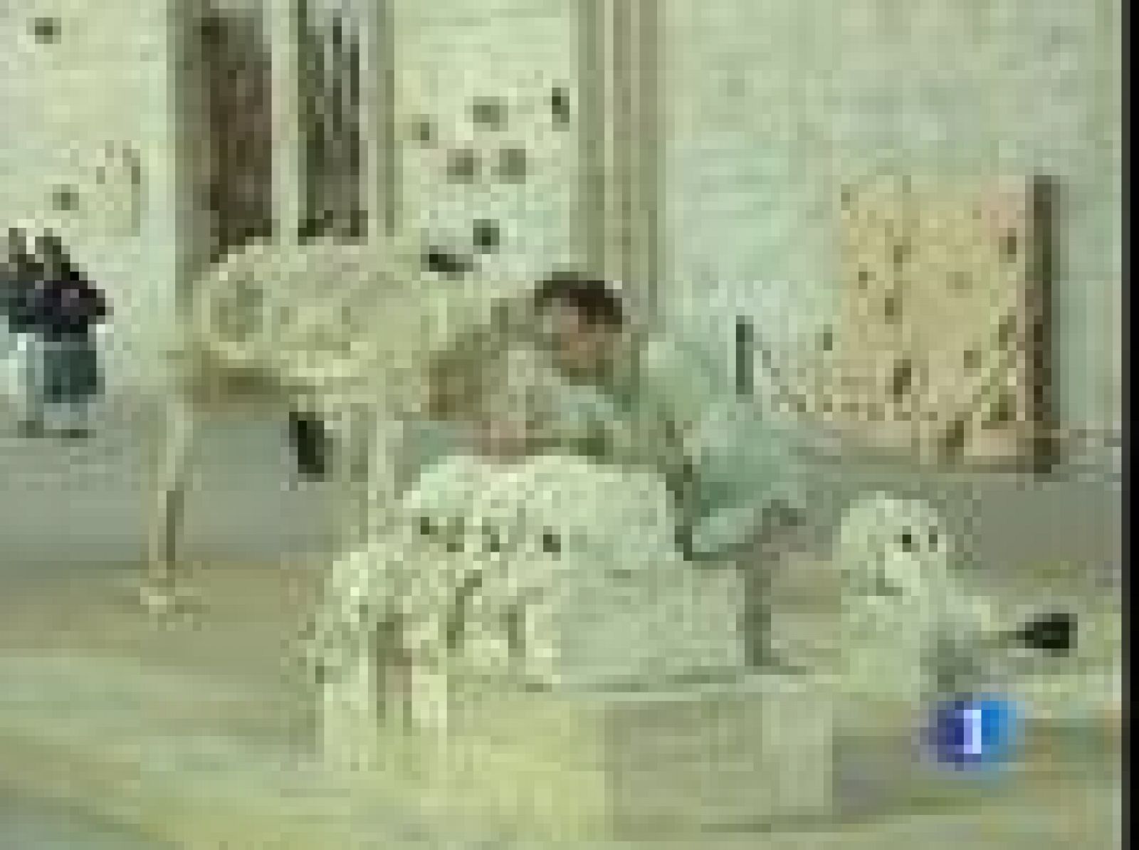 Aviñón rinde homenaje a Miquel Barceló, que sucede a Picasso en el Palacio de los Papas | Ver