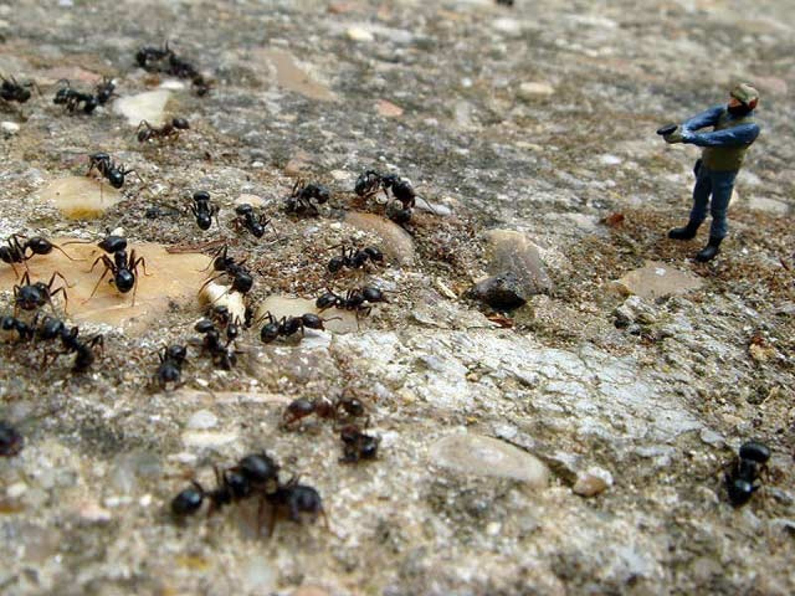 El universo de Jong Ki Love toma las calles | Ver