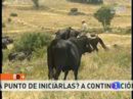 España Directo - La ternera de Ávila