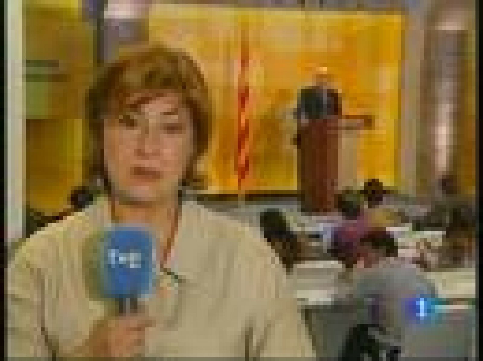 L'Informatiu:  L'Informatiu migdia (29/06/2010) | RTVE Play