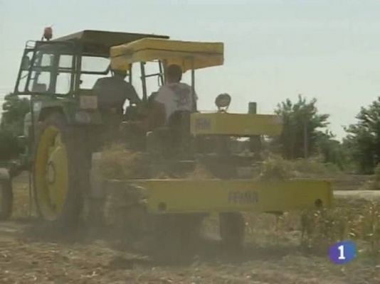 Noticias de Castilla-La Mancha - Noticias de Castilla-La Mancha - 29/06/10