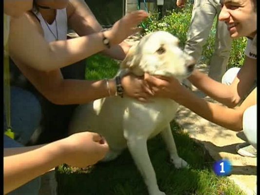  - Centro menores se queda sin mascota