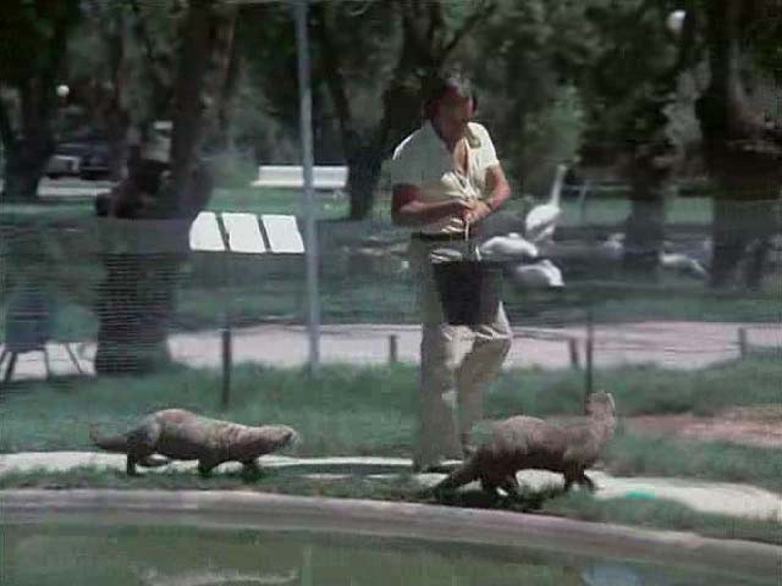 El hombre y la Tierra - El Edén perdido