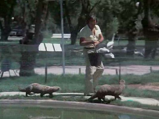 El hombre y la Tierra - El Edén perdido