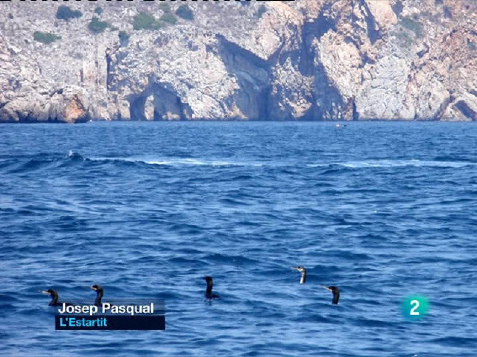 El temps (30/06/2010)