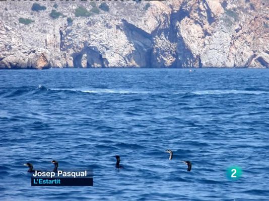 L'Informatiu - El temps - 30/06/10