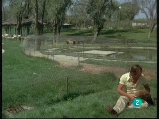 El hombre y la Tierra - Nutrias de Félix llegan a España