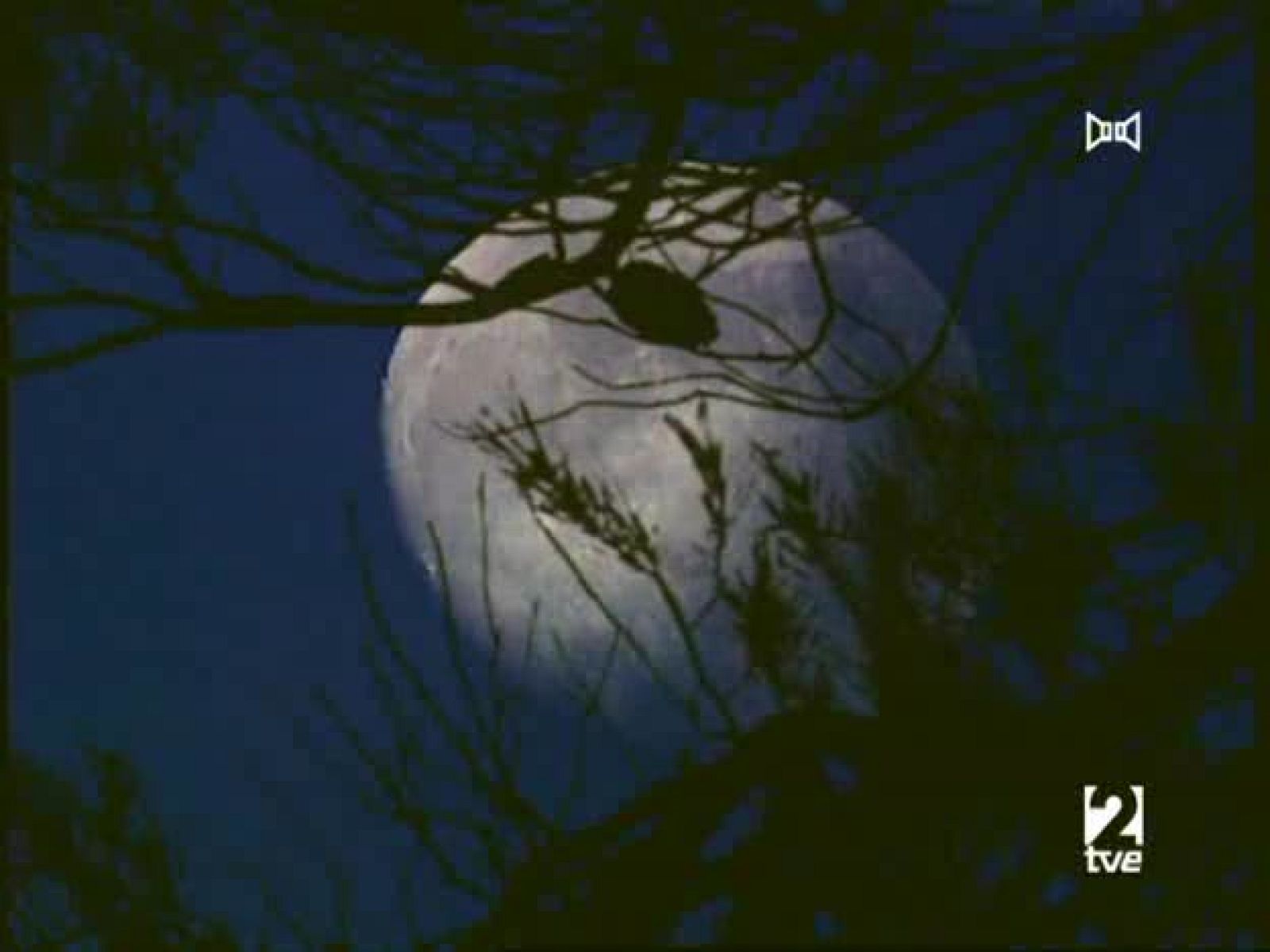 Jara y sedal - Escuela de pesca en el Pirineo - Jara y sedal | Ver