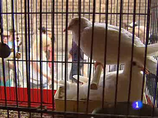  - El mercado de Aves de Barcelona echa el cierre