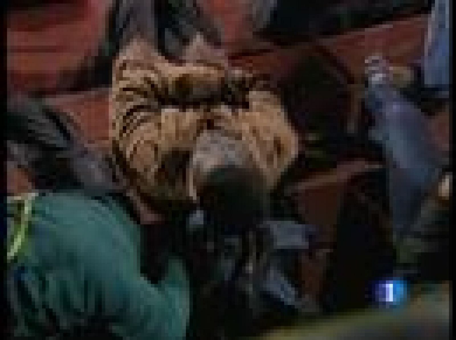 Del Bosque: 'Maradona es un poco pesado' | Ver