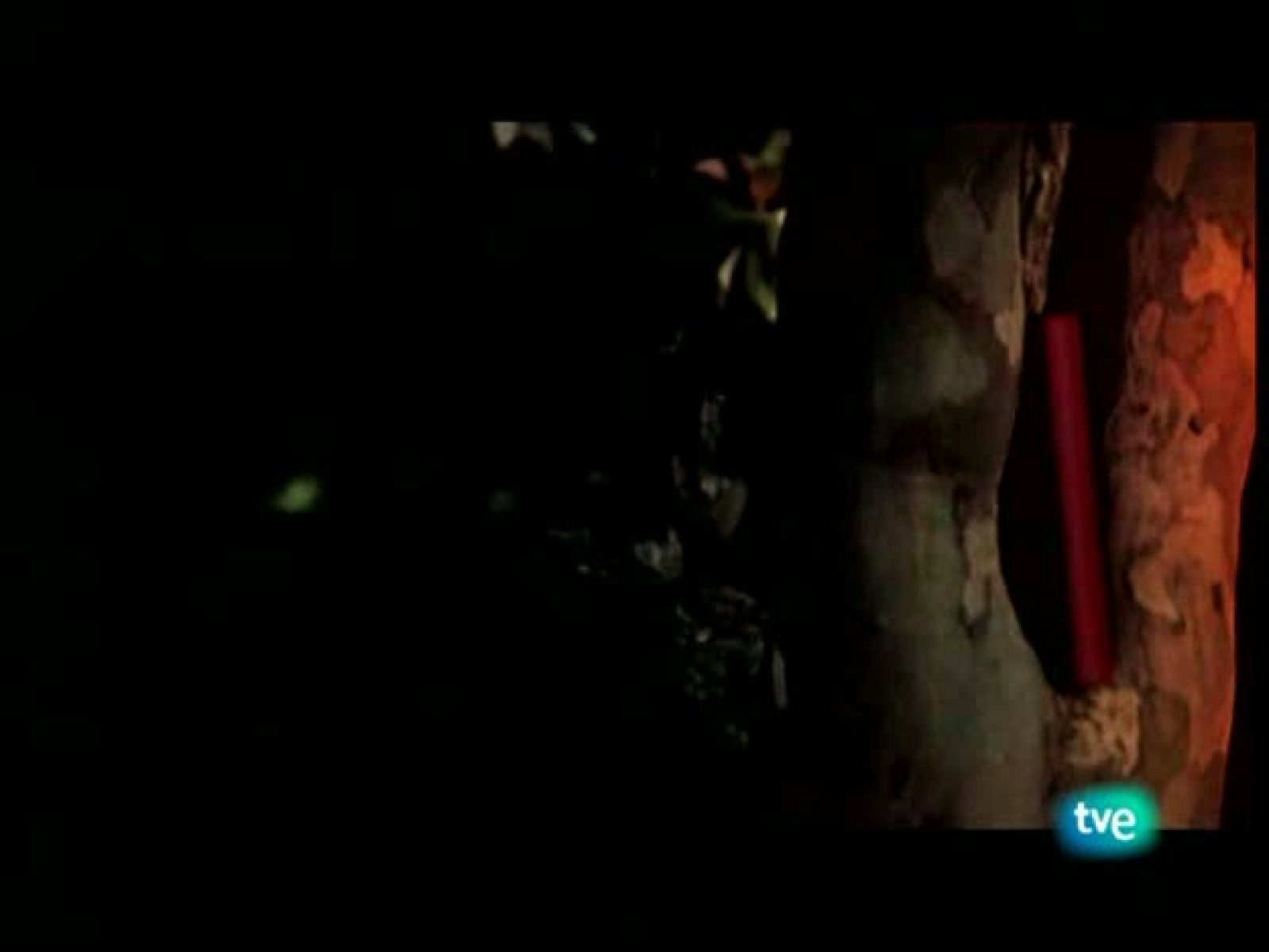 Página 2 - Isabel Allende y José Sacristán - Página Dos | Ver