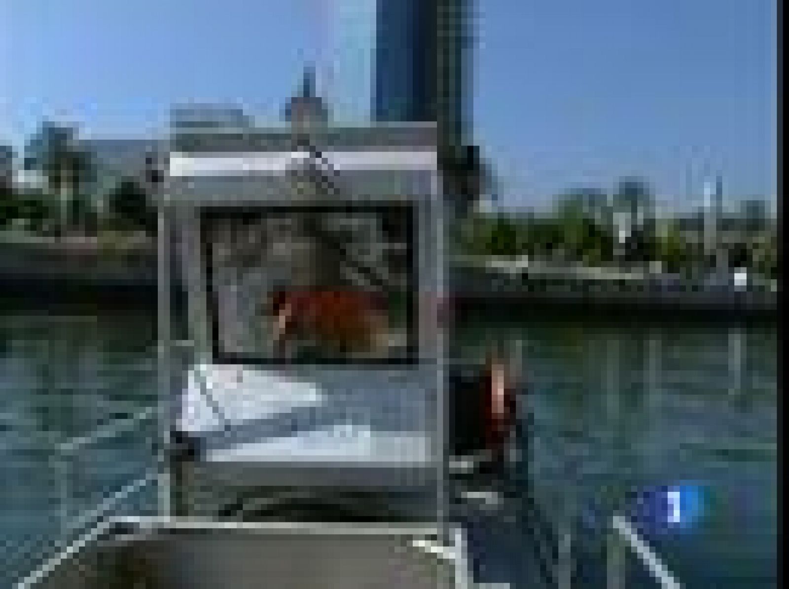 Se multiplican los "empleos verdes" en España.