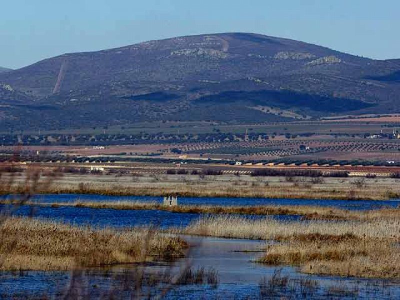 Investigación pionera de bacterias en las Tablas de Daimiel