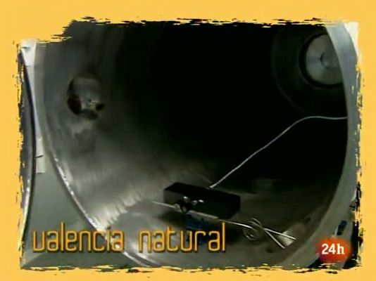 Natural - La luz que nos impide ver el cielo