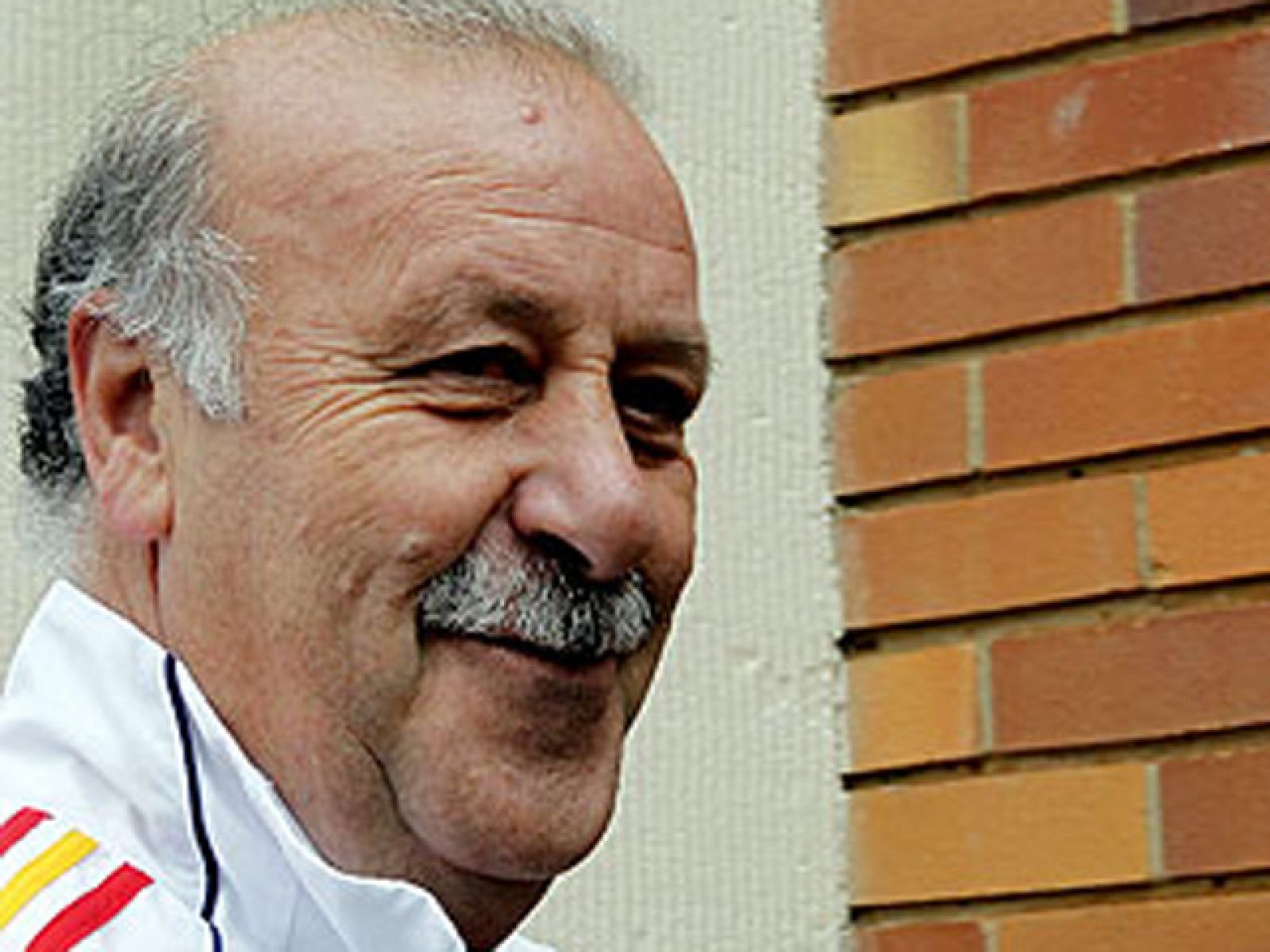 El seleccionador Vicente Del Bosque y los jugadores Iniesta y Xabi Alonso han expresado su ilusión de alcanzar la final del Mundial en la previa ante el partido ante Alemania.