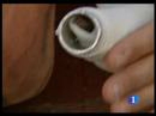  - Protección de las astas de toro