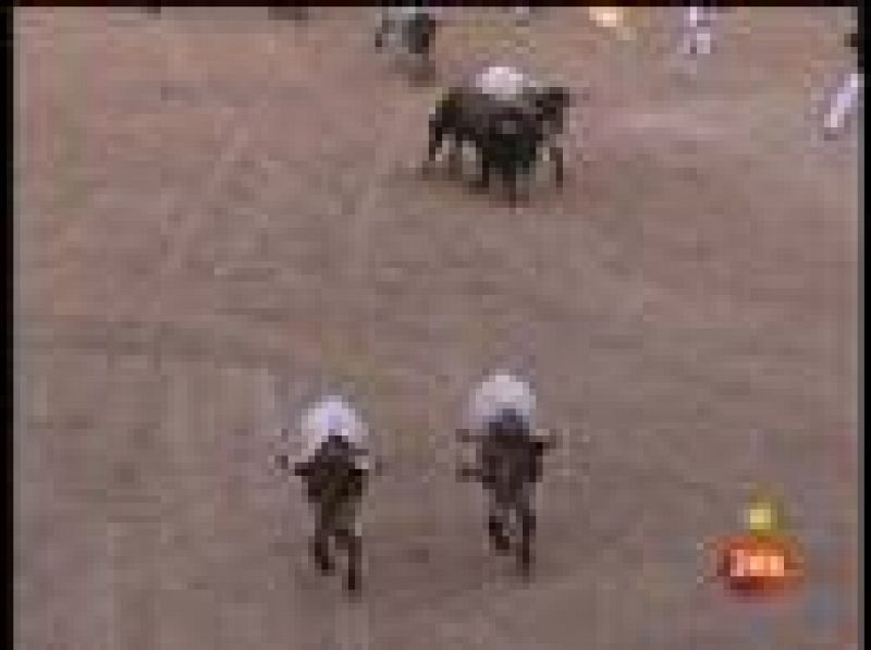  La ganadería pacense de los Peñajara abre con un encierro "noble y rápido, y multitudinario"