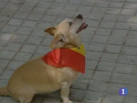 Noticias de Castilla-La Mancha - Noticias de Castilla-La Mancha - 07/07/10