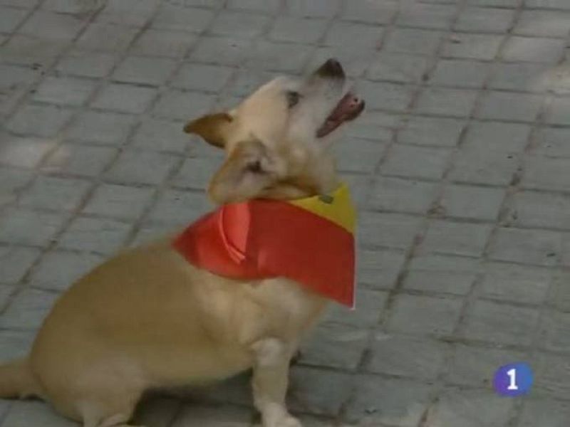 Noticias de Castilla - La Mancha. Informativo de Castilla - La Mancha. (07/07/10)