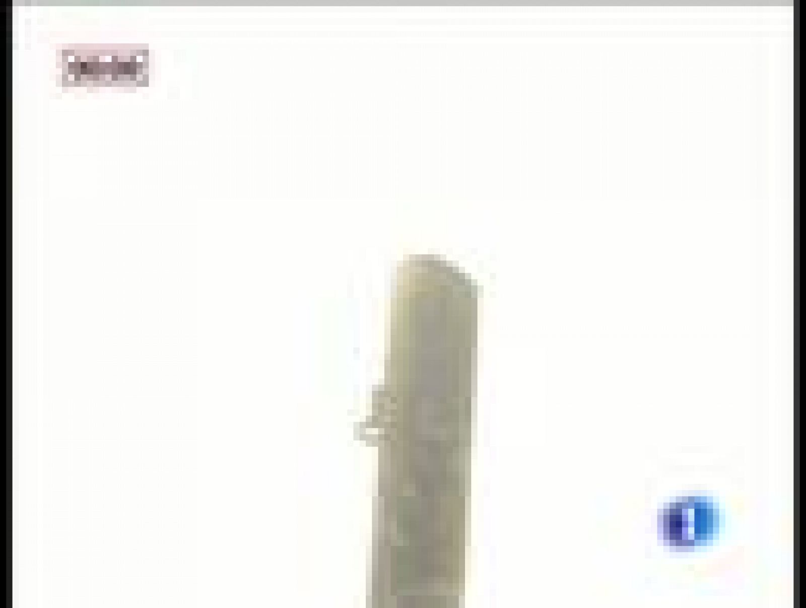 Segundo encierro de San Fermín 2010 | Ver