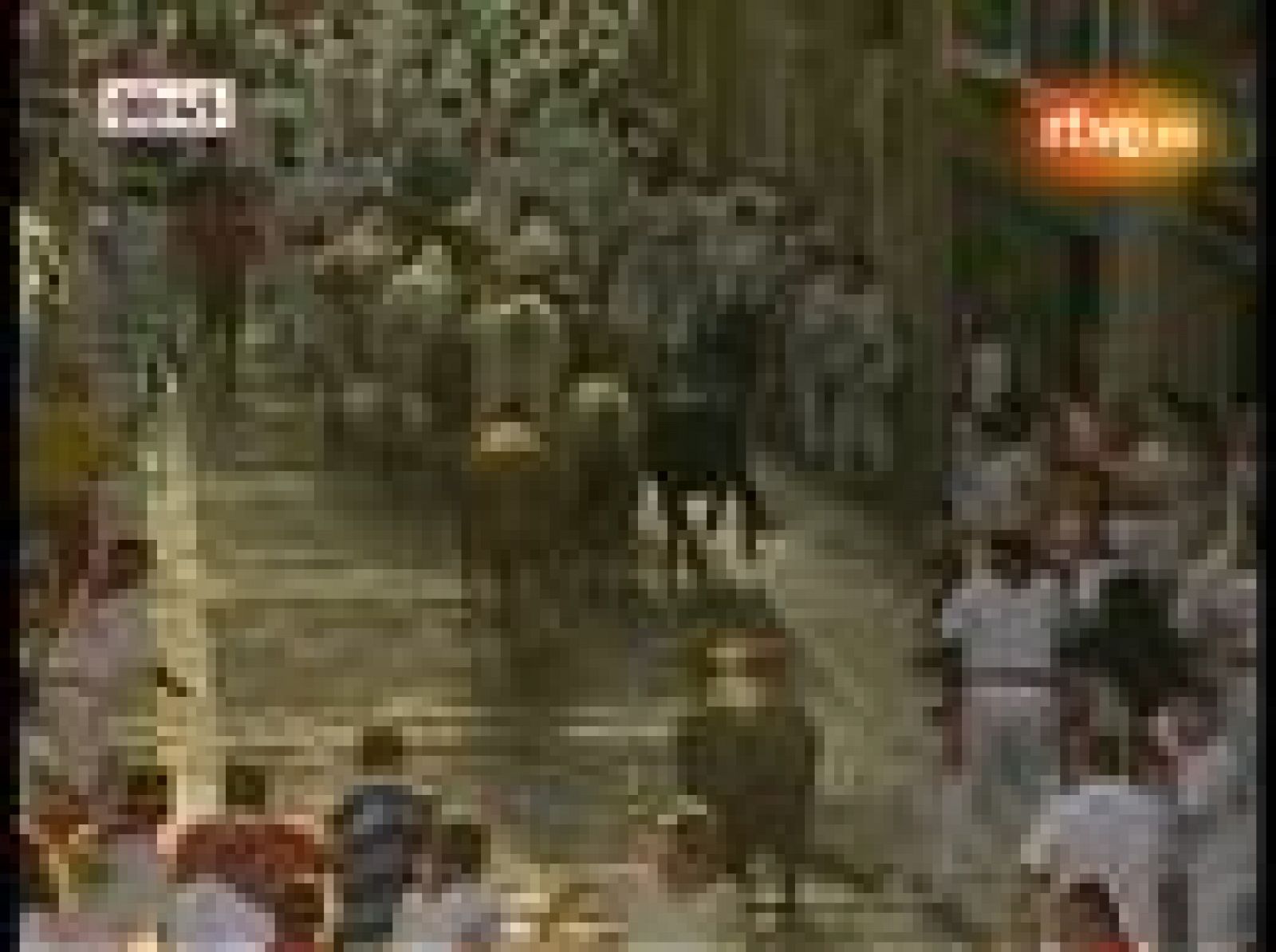 Muy peligroso ha sido el segundo encierro de los Sanfermines 2010, a cargo de Cebada Gago, después de que la manada haya corrido suelta casi todo el recorridos. Hay seis heridos, dos de ellos por asta de toro y cuyo pronóstico es grave.