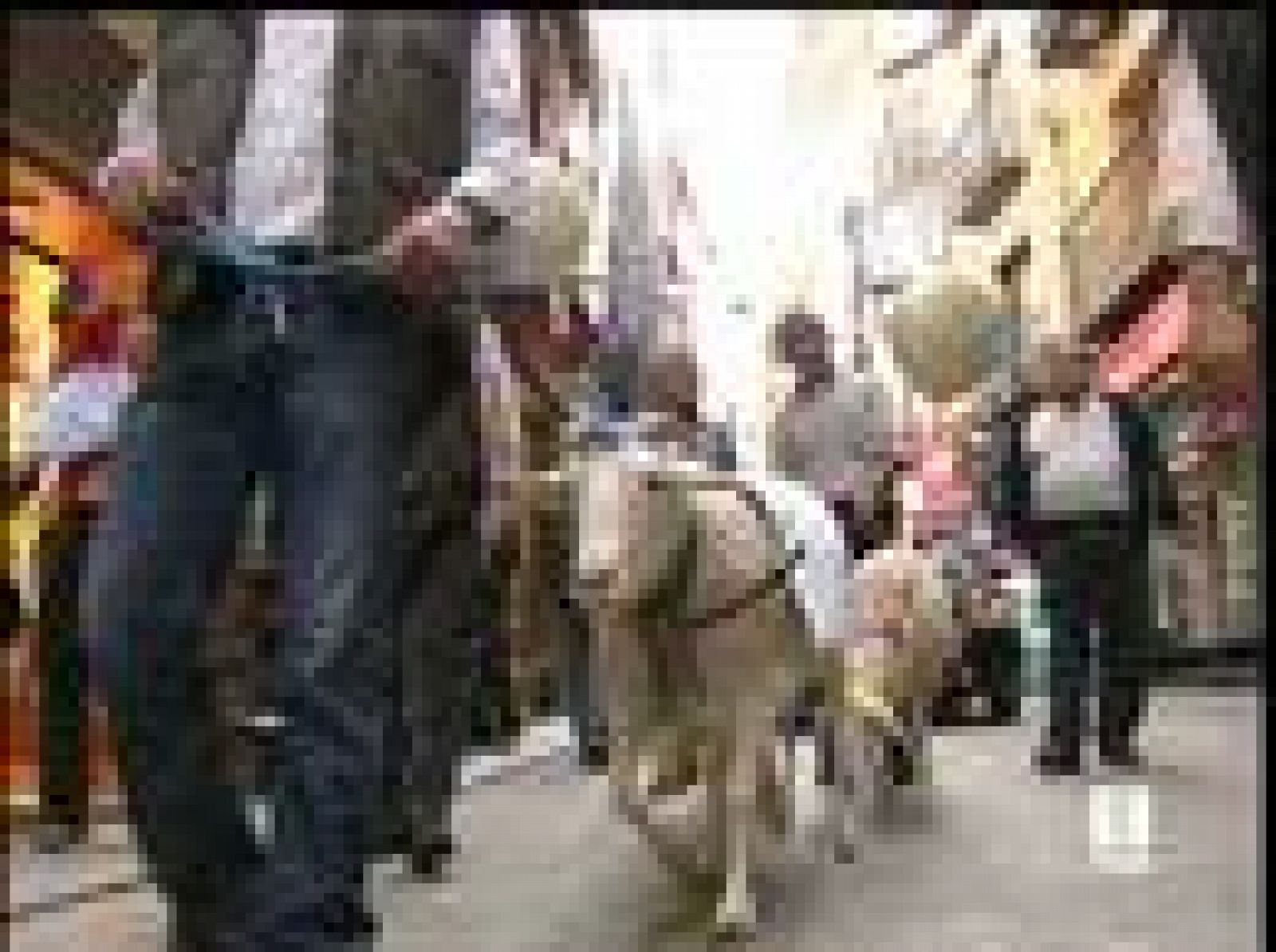 Varios miles de agricultores han protestado en Toledo para reclamar al Gobierno medidas contra la crisis del sector (17/05/08).