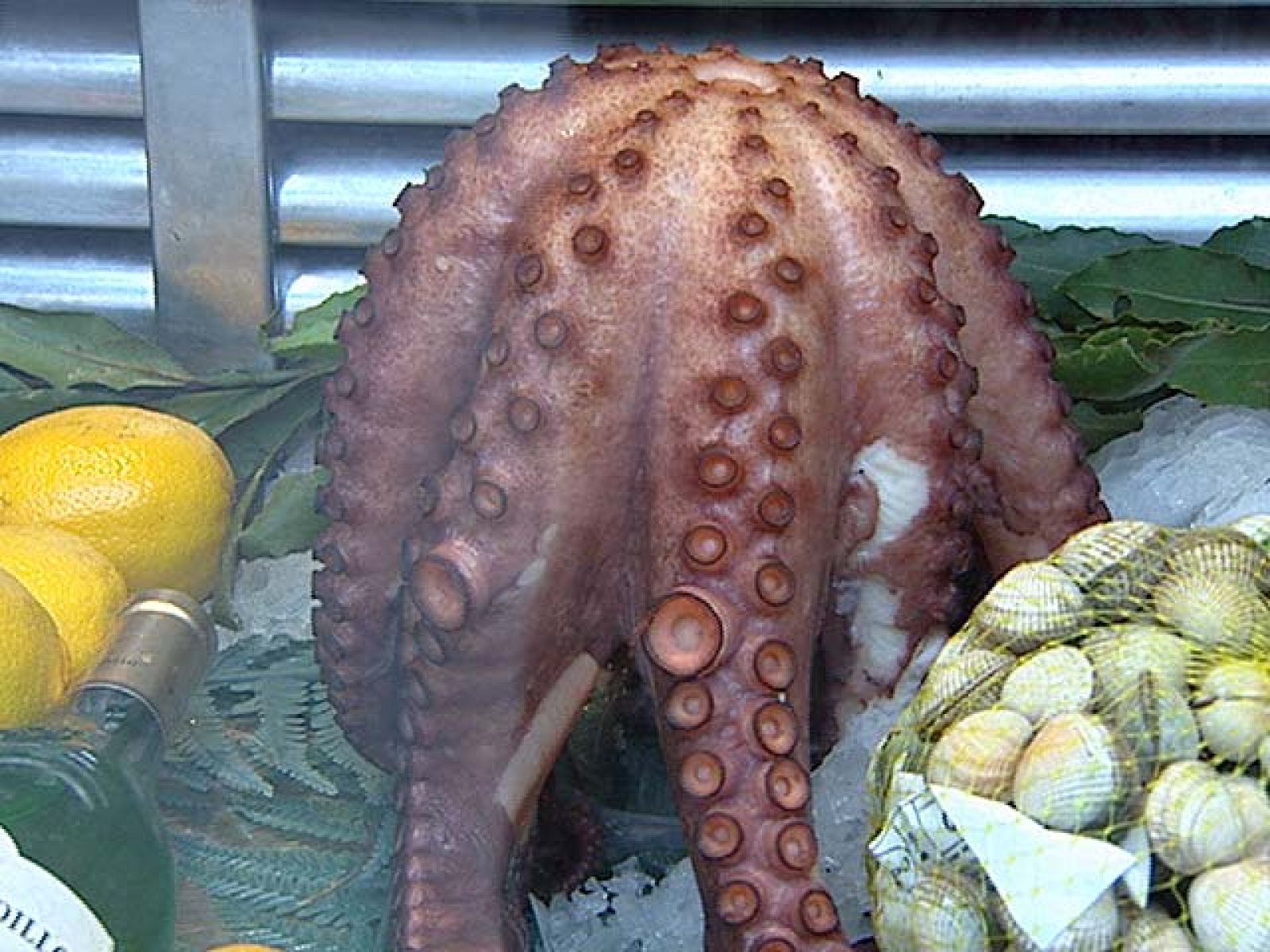 Una de pulpo y fútbol | Ver