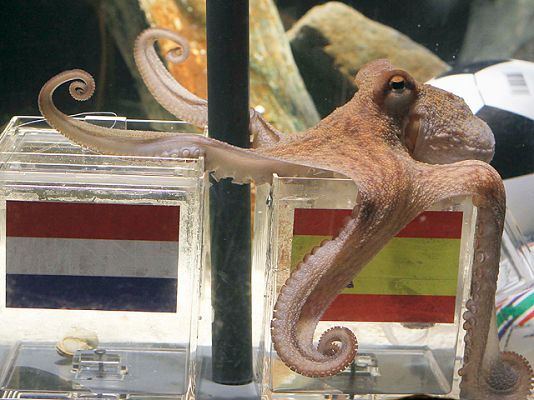  - El pulpo Paul elige a España