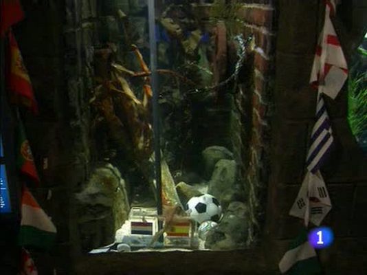 La mañana - Paul no es adivino...