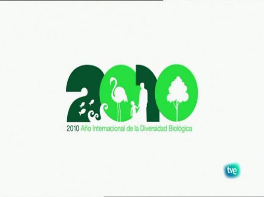 Biodiario - El lagarto ocelado