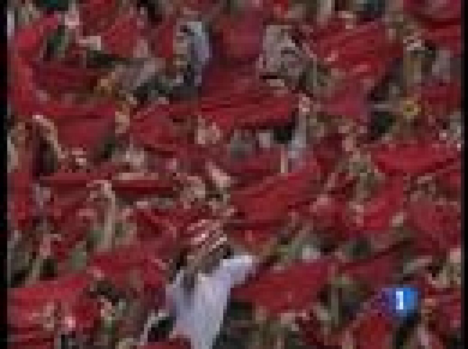San Fermín 2023: El pañuelico rojo y su significado | RTVE Play