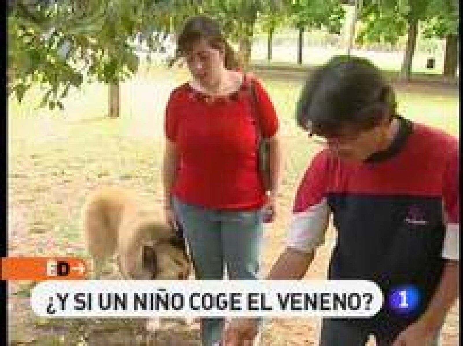 Perros envenenados