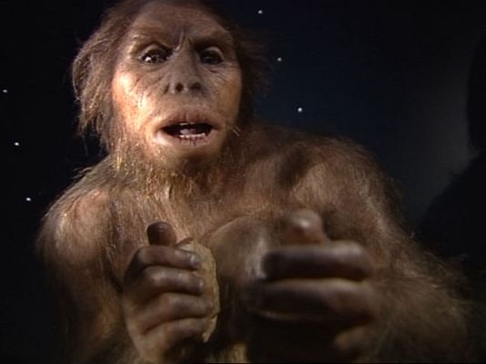  - Inaugurado el Museo de la Evolución