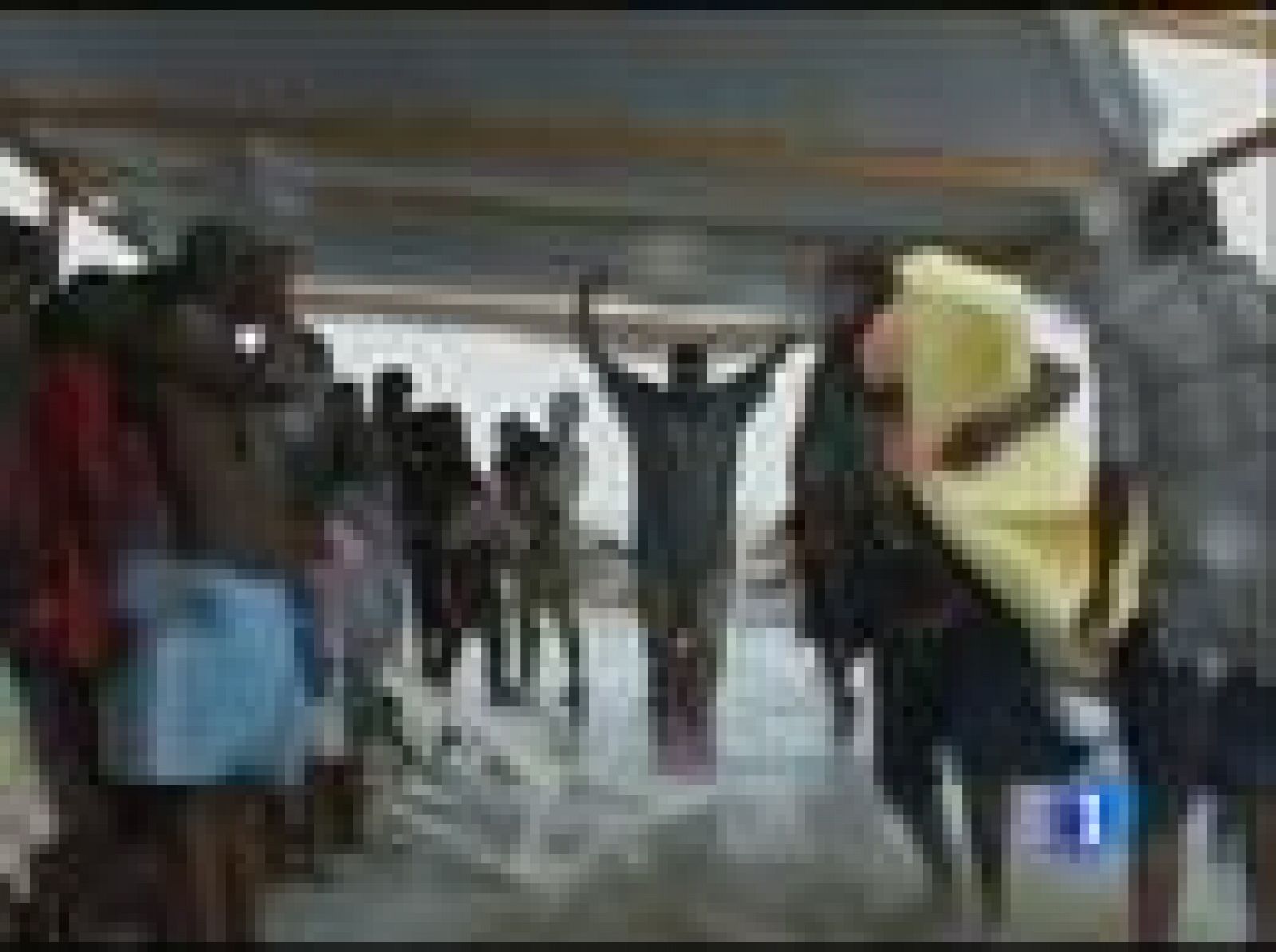 Sin programa: 1.500.000 sin techo en Haití | RTVE Play
